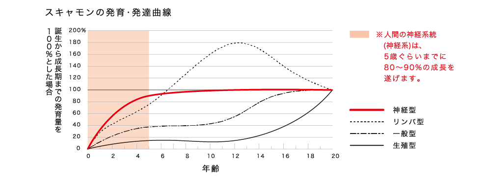 スキャモンの成長曲線